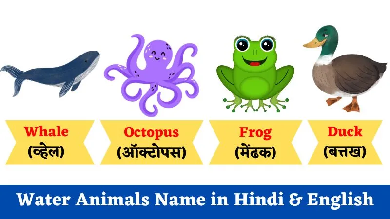 10 water animals name in english