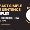 Past Simple Tense Sentence