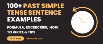 Past Simple Tense Sentence