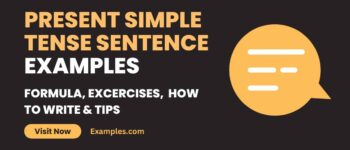 Present Simple Tense Sentence