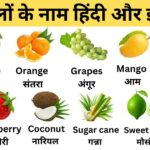 100+ Fruits Name In Hindi And English | फलों के नाम हिंदी और इंग्लिश में