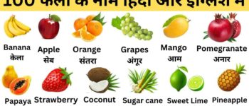 100+ Fruits Name In Hindi And English | फलों के नाम हिंदी और इंग्लिश में